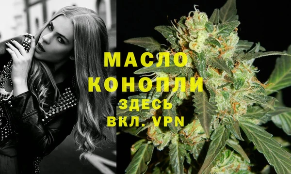 крисы Горняк