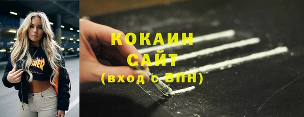 гидра Горнозаводск