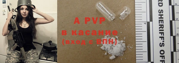 крисы Горняк