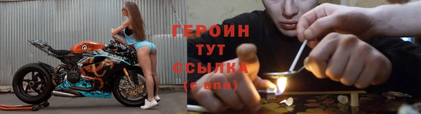 гидра Горнозаводск