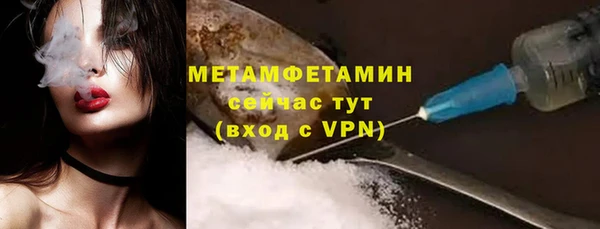 индика Струнино