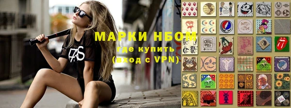 крисы Горняк
