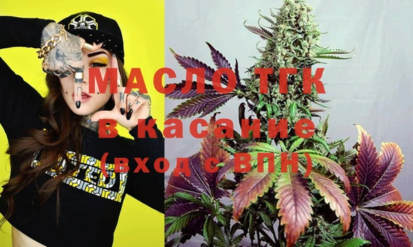 гидра Горнозаводск