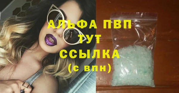 гидра Горнозаводск