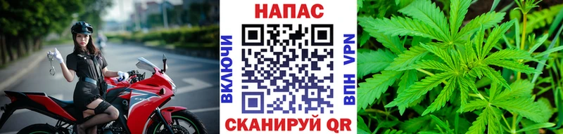 Конопля AK-47  Лаишево 